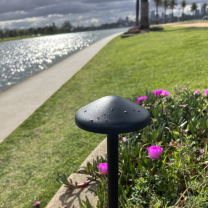 SCAPE 24V Exterior LED Post Spike Light - Black
