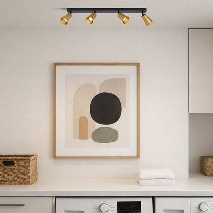 ALVEY 4 Light Ceiling Spot Light - Gold / Black