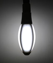 ELLIP: LED Elliptical Globes - Options: E27 5000K 25W