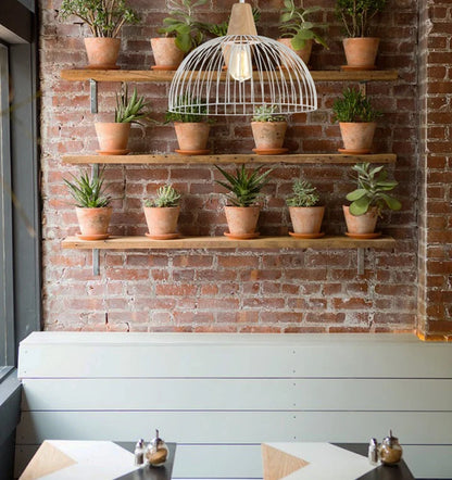 STRAND: Iron and Wood Dome Cage Pendant Light - White