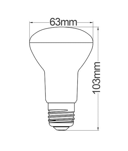 R63 & R80 LED Globes - Type: R80 3000K