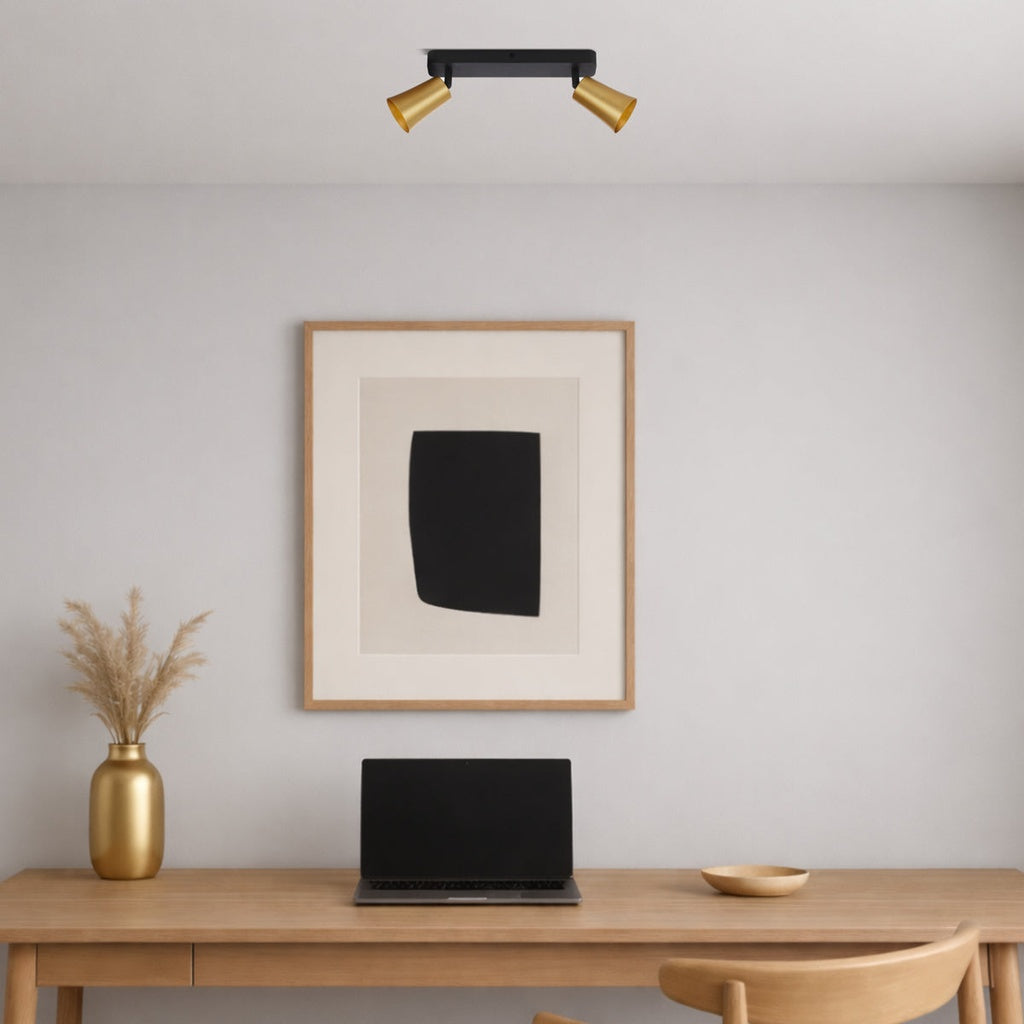ALVEY 2 Light Ceiling Spot Light - Gold / Black
