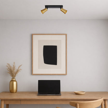 ALVEY 2 Light Ceiling Spot Light - Gold / Black