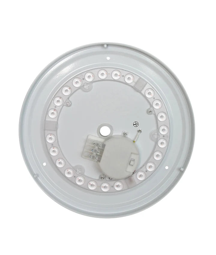 LED Dimmable Tri-CCT Oyster Lights - 12W