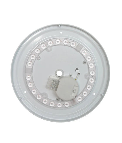 LED Dimmable Tri-CCT Oyster Lights - 12W