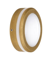 STE: Exterior LED 12V Antique Brass Round Step/Wall Lights IP65