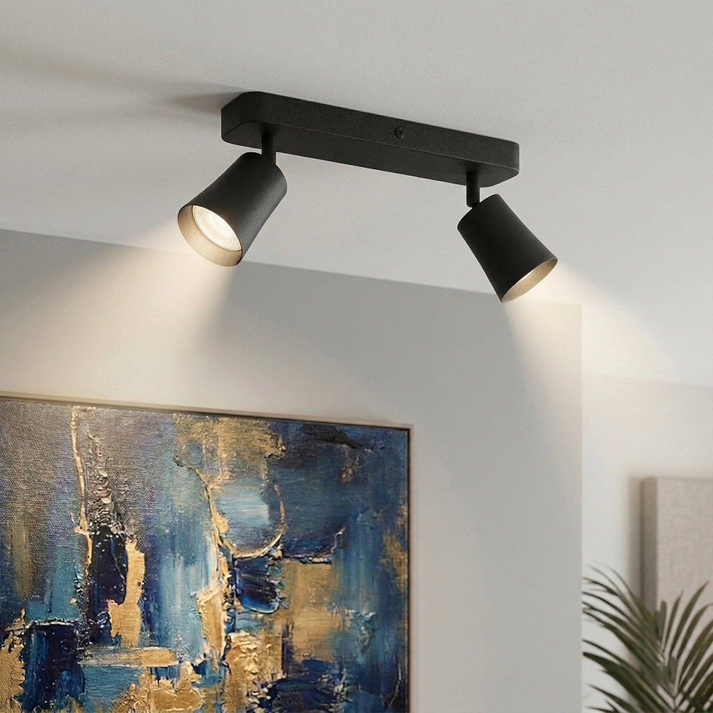 BURTON 2 Light Ceiling Spot Light - Black