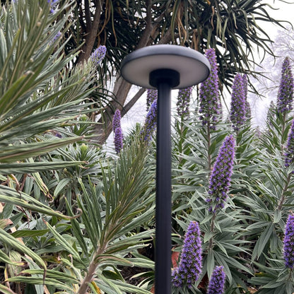 SCAPE 24V Exterior LED Post Spike Light - Black