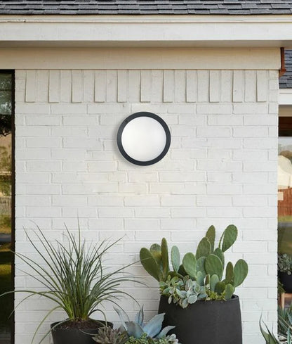 BULK: Round LED Bulkhead Lights IP66 IK10 - Black