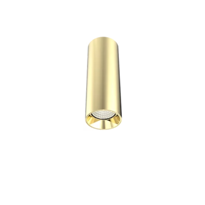 DL1562 15W Gold Surface Mounted LED Downlight