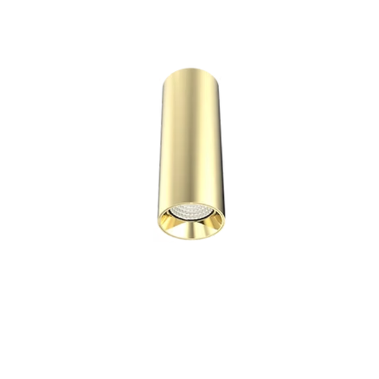 DL1562 15W Gold Surface Mounted LED Downlight