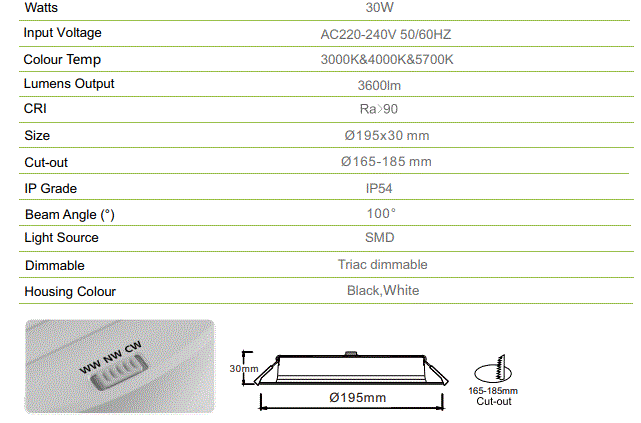 3A 30W DL3009 IP54 Super Slim Downlight(High Lumens)- White