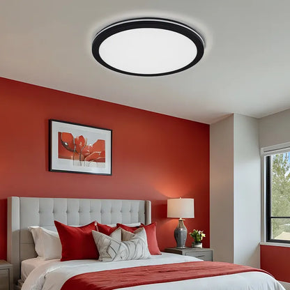Hector-380 IP65 LED Ceiling Light - Black