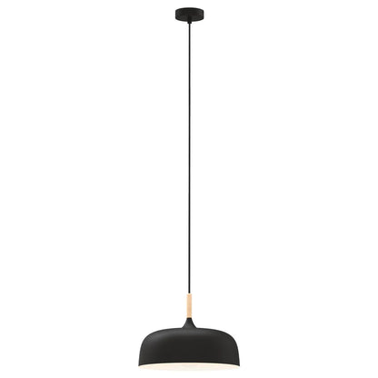 Olena 1Lt Light Pendant Light- Black