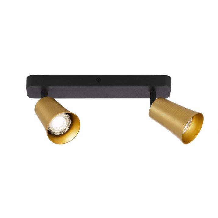 ALVEY 2 Light Ceiling Spot Light - Gold / Black