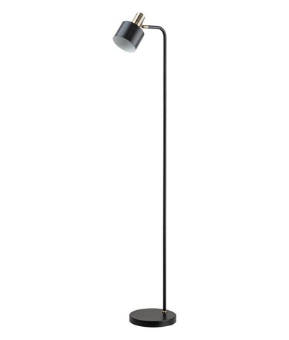 FLOTAR: Interior Cylinder Iron Shade with Antique Brass Highlight Floor Lamp - Black