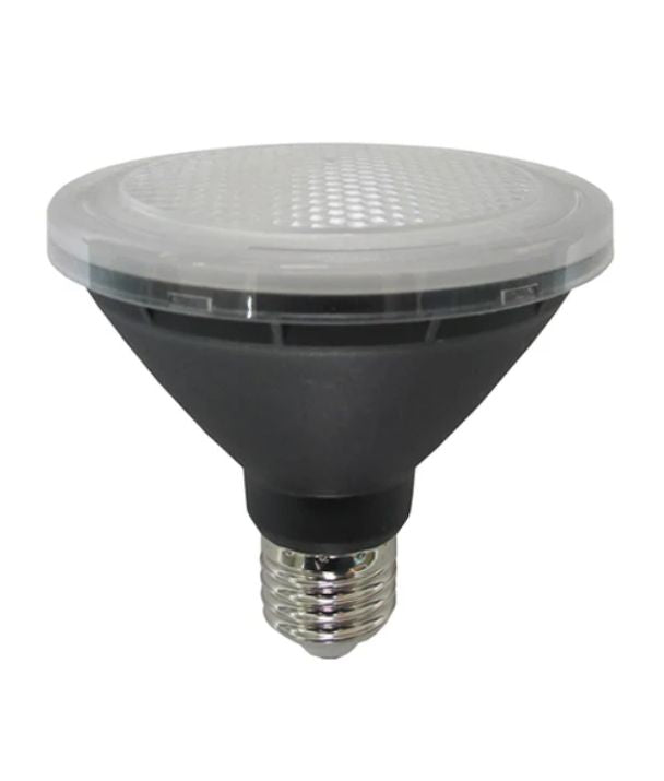 PAR30 LED Globe (10W)