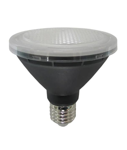 PAR30 LED Globe (10W)