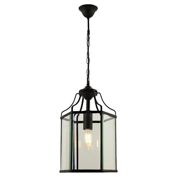 Arcadia 1 Light Pendant - Black