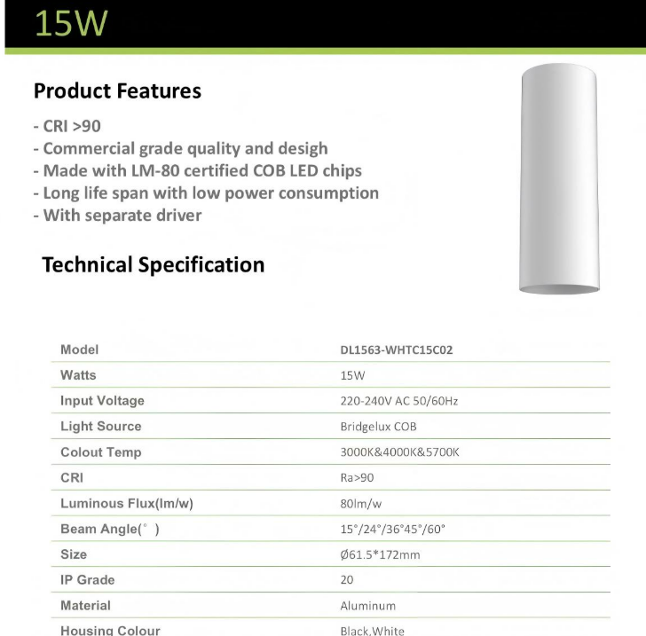 3A 15W DL1563 Surface Mount Downlight- White