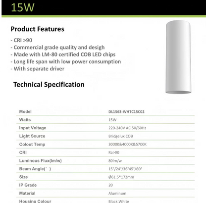 3A 15W DL1563 Surface Mount Downlight- White